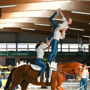 Neues Pferd für den VV Stadtlohn